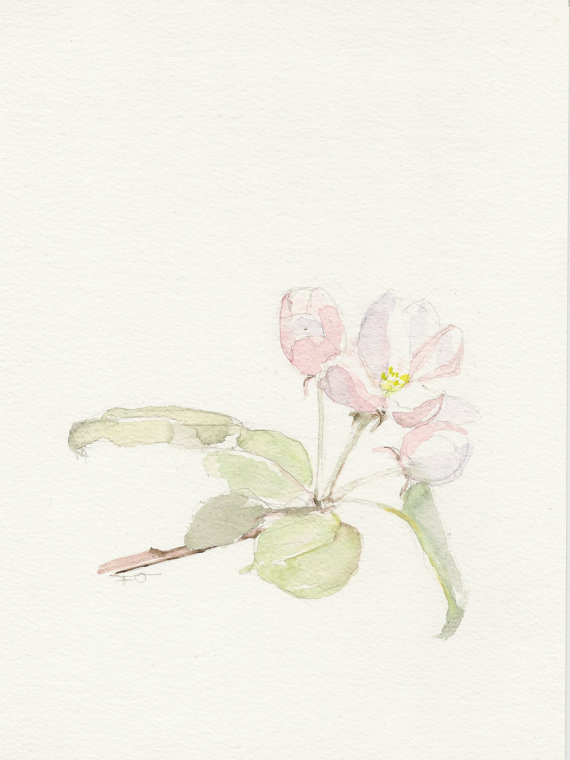 570x760 Spring Watercolor, Apple Blossom, Original Watercolor Painting
