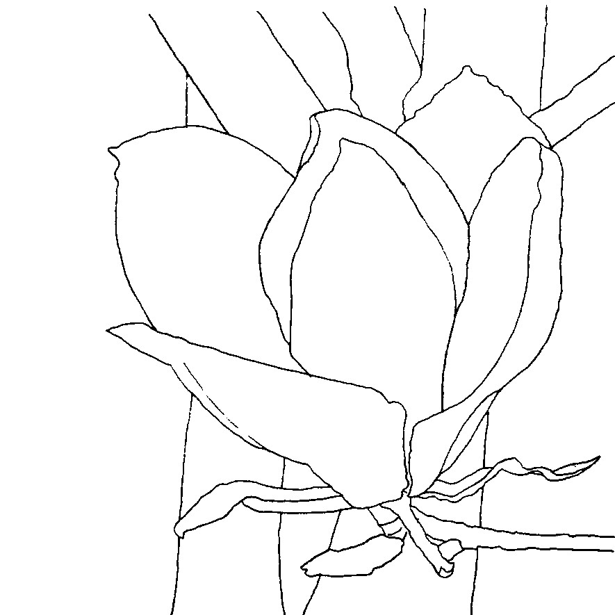 885x885 Wetcanvas Artschool Online Watercolors Watercolor Painting, My