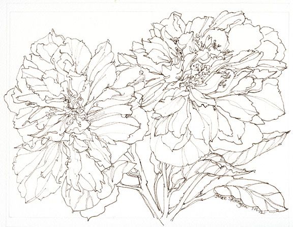 576x446 Line Drawing And Watercolor Painting