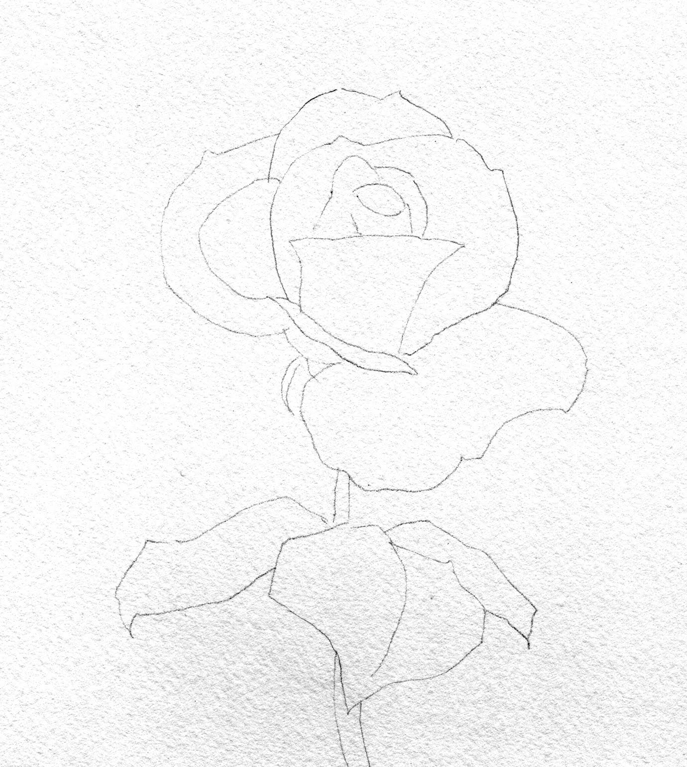 1380x1541 Barbara Fox Studio