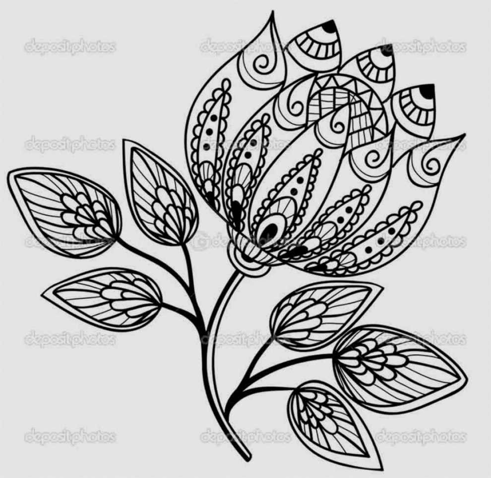 990x965 New Pics Of Drawing Flowers Pictures Pictures Of Flower Drawings