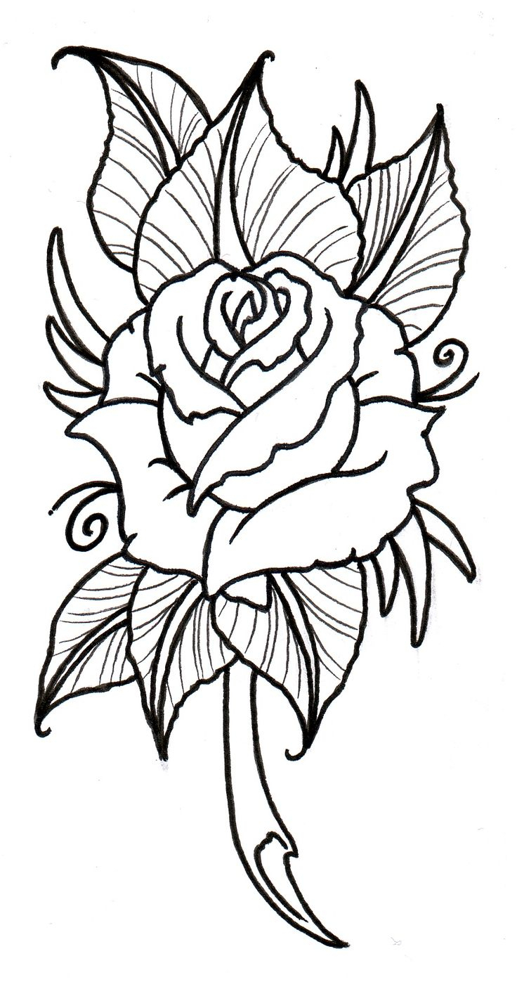 736x1397 Drawing Ideas Flowers Flowers And Heart Drawings Best Easy