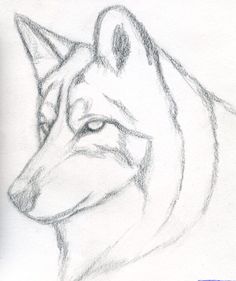 236x281 Simple Wolf Drawing Native American Simple Wolf