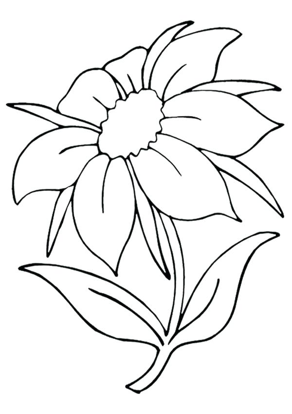 600x849 Great Jasmine Flower Coloring Pages Free Download Simple Drawing