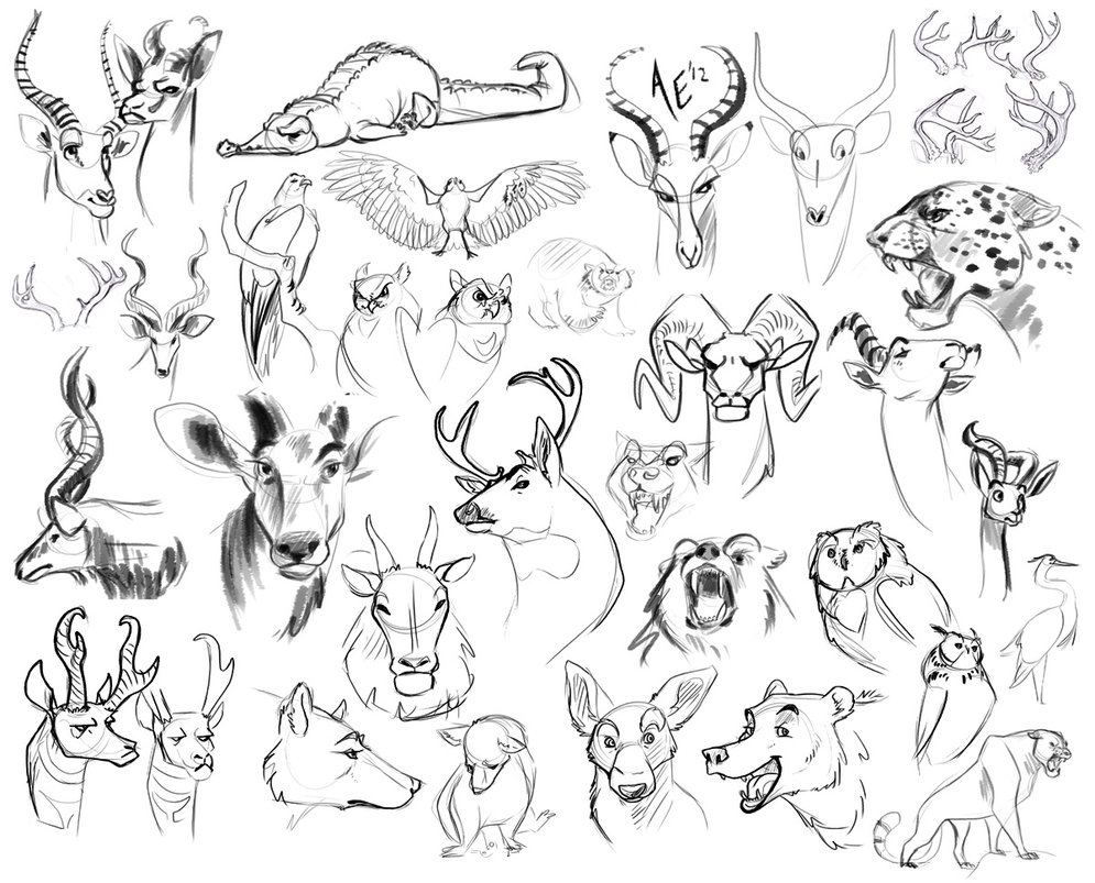 995x803 Sketch Dump Draw All The Animals By Turtle Arts