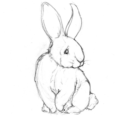 400x400 Animals Walking In Public