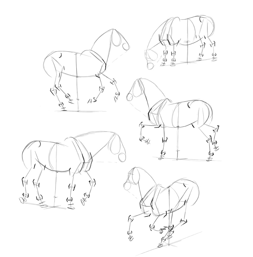 1000x1018 How To Draw Horses Step By Step Instructions