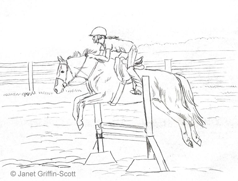 768x585 Photos Drawings Of Horses Jumping,
