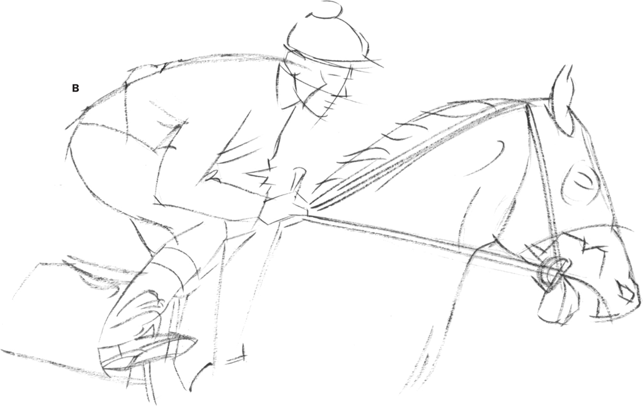 1300x822 Racehorse Amp Jockey