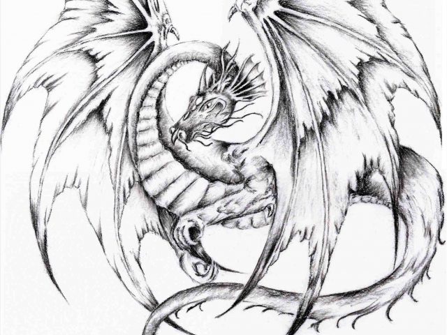 640x480 The Images Collection Of Easy Draw Drawn Simple Dragon Drawing