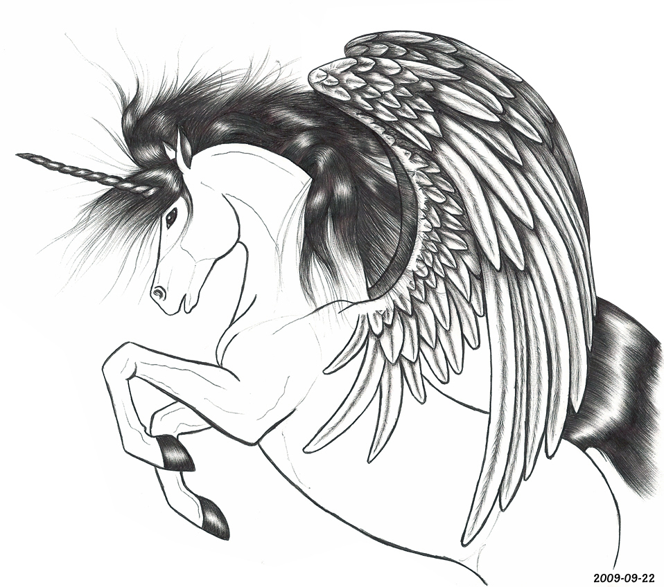 958x848 Unicorn With Wings Pencil Drawing