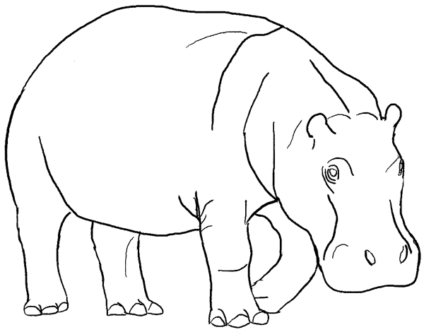 600x470 Coloring Pages
