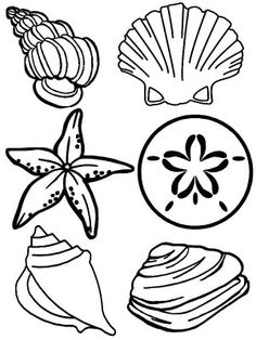 236x314 How To Draw Shells Step 5 Awesome Art Lessons