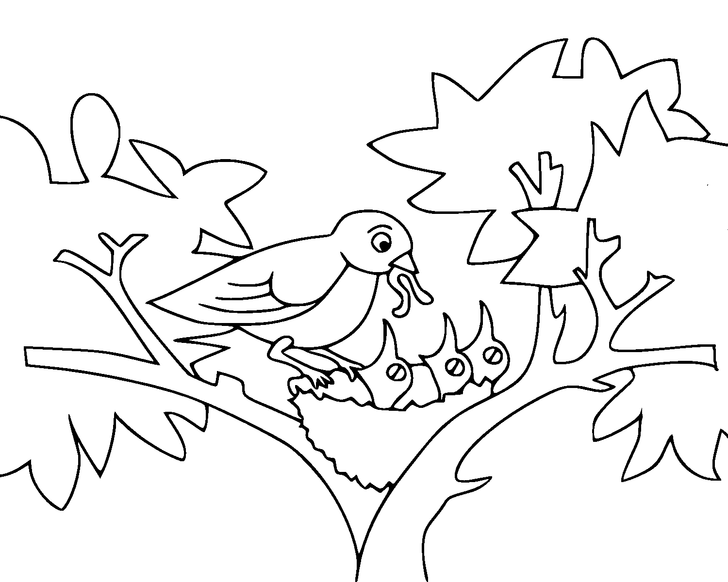 1500x1200 Outline Pictures Of Birds For Colouring