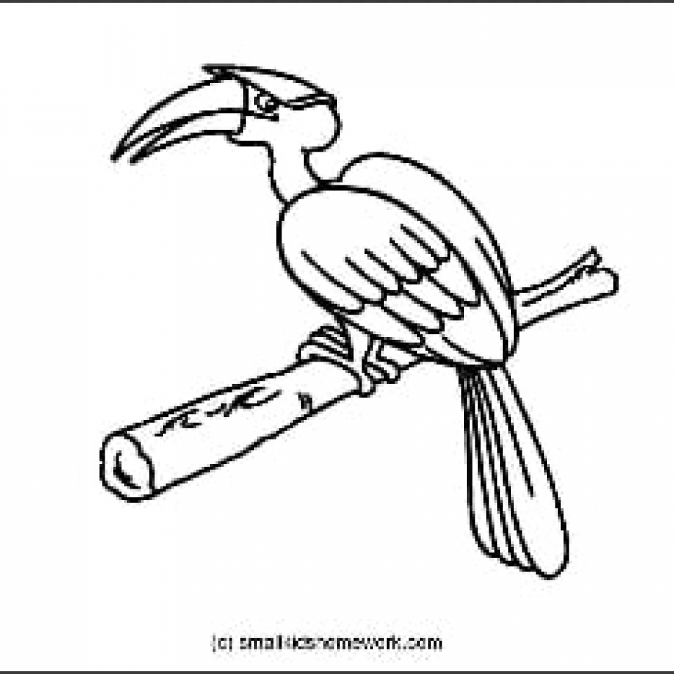 960x960 Outline And Coloring Pictures For Small Kids