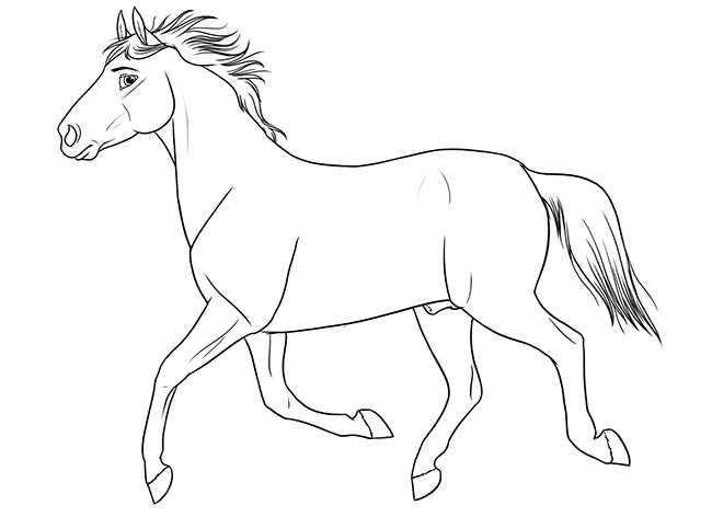 650x472 Horse Template