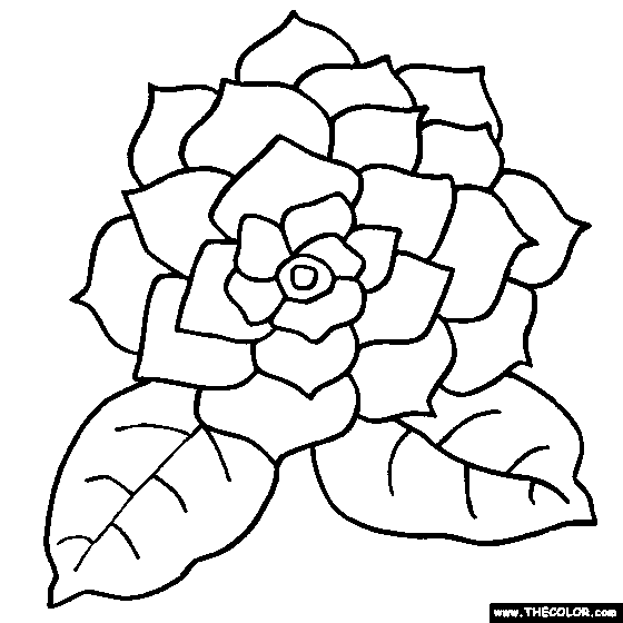 560x560 Images Of Coloring Pages Colouring In Fancy Draw Page Kids