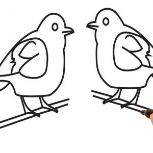 300x300 Easy Bird Coloring Pages Copy Free Coloring Pages Printable