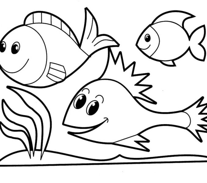 678x600 Coloring Pages Drawings Coloring Page