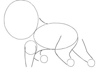 350x265 How To Draw A Lion For Kids