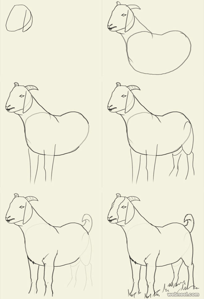 Drawing Picture Of Animals