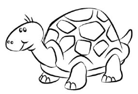 285x194 How To Draw A Turtle Howstuffworks