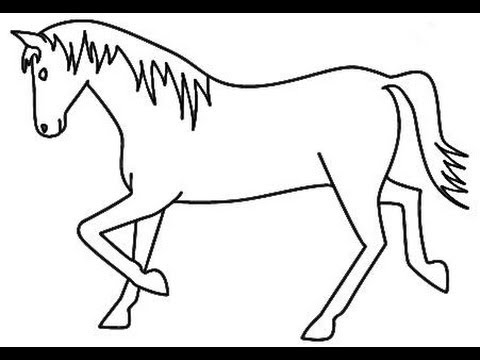 480x360 How To Draw Animals Ebook