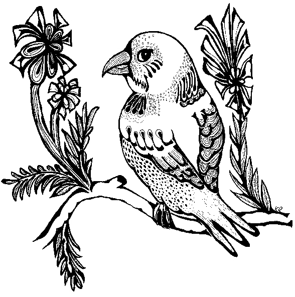 588x592 Drawings Ornosk Birds, Landscape, Weather