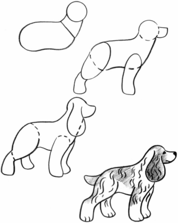 Drawing Picture Of Dog
