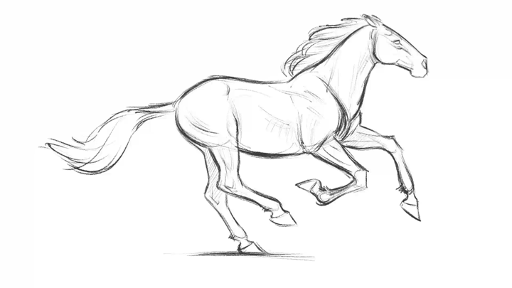 720x405 How To Draw Horses Course