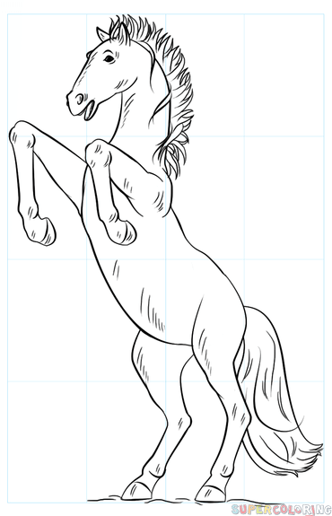 370x575 How To Draw A Mustang Horse Step By Step Drawing Tutorials