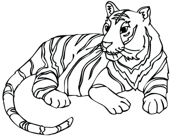 700x556 Tiger Printable Coloring Pages Tiger Template Kids Drawing Tiger