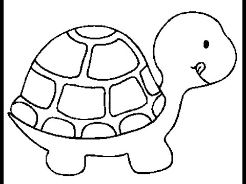 480x360 Drawing A Sea Turtle How To Draw Easy Things