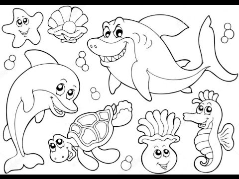 480x360 Ocean Animals Drawings Weekly Preschool To Pretty Draw Pict