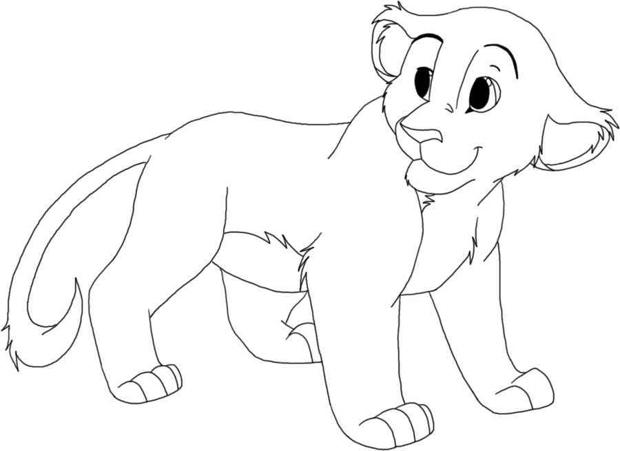 900x655 Pictures Line Drawing Of Animals,