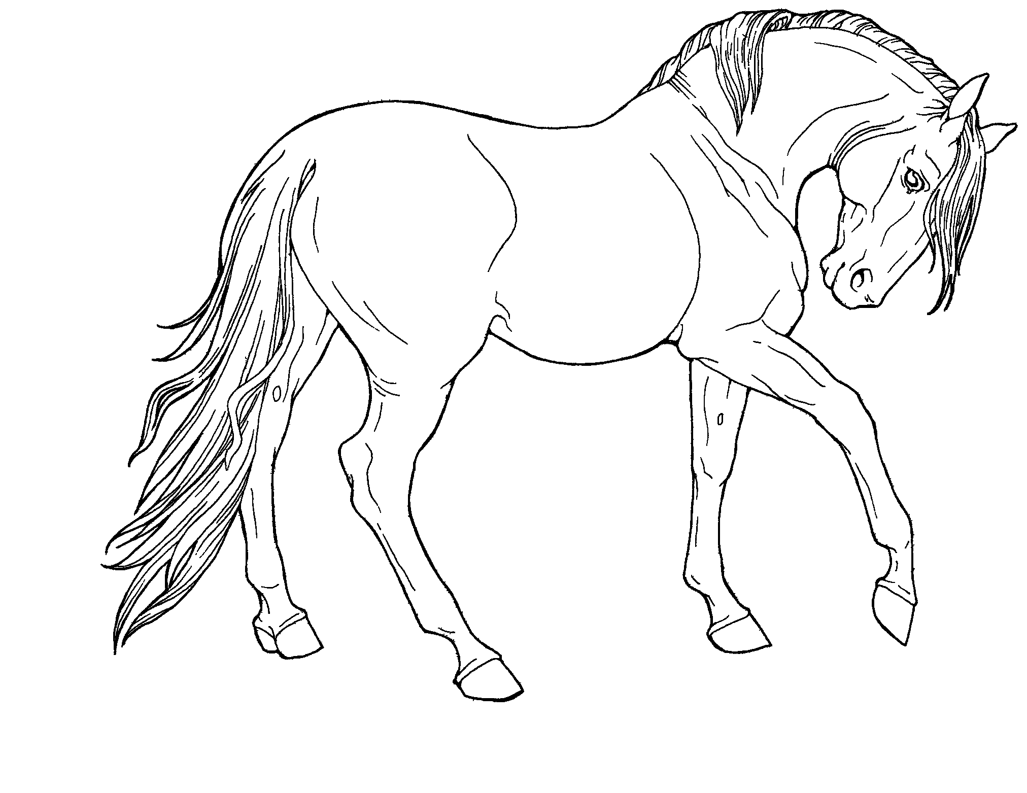 2024x1563 Wild Animals Drawing Easy