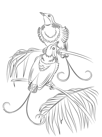 358x480 Birds Coloring Pages Free Coloring Pages