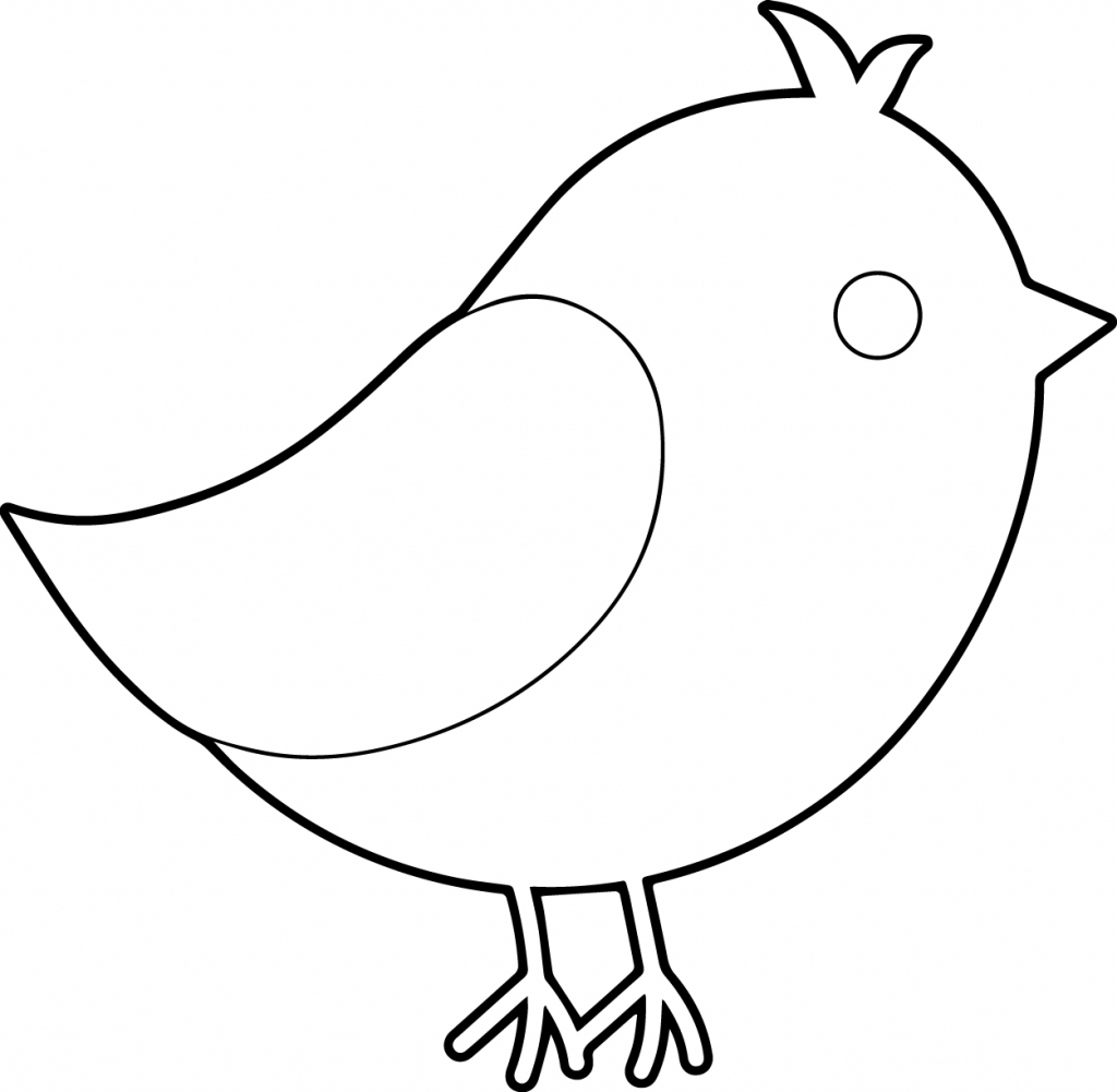 1024x1001 Draw Simple Bird