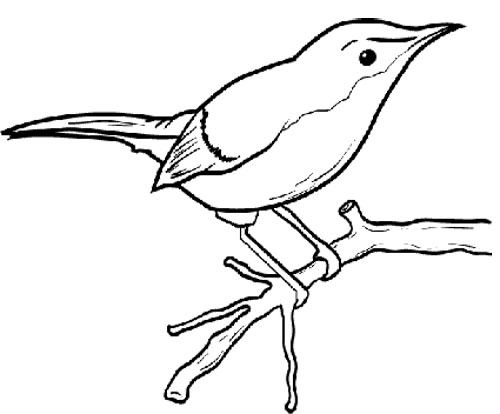 500x414 Drawn Bird Tree Drawing