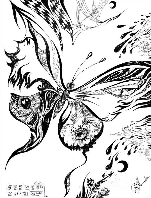 600x788 Butterfly Drawings, Art Ideas Free Amp Premium Templates