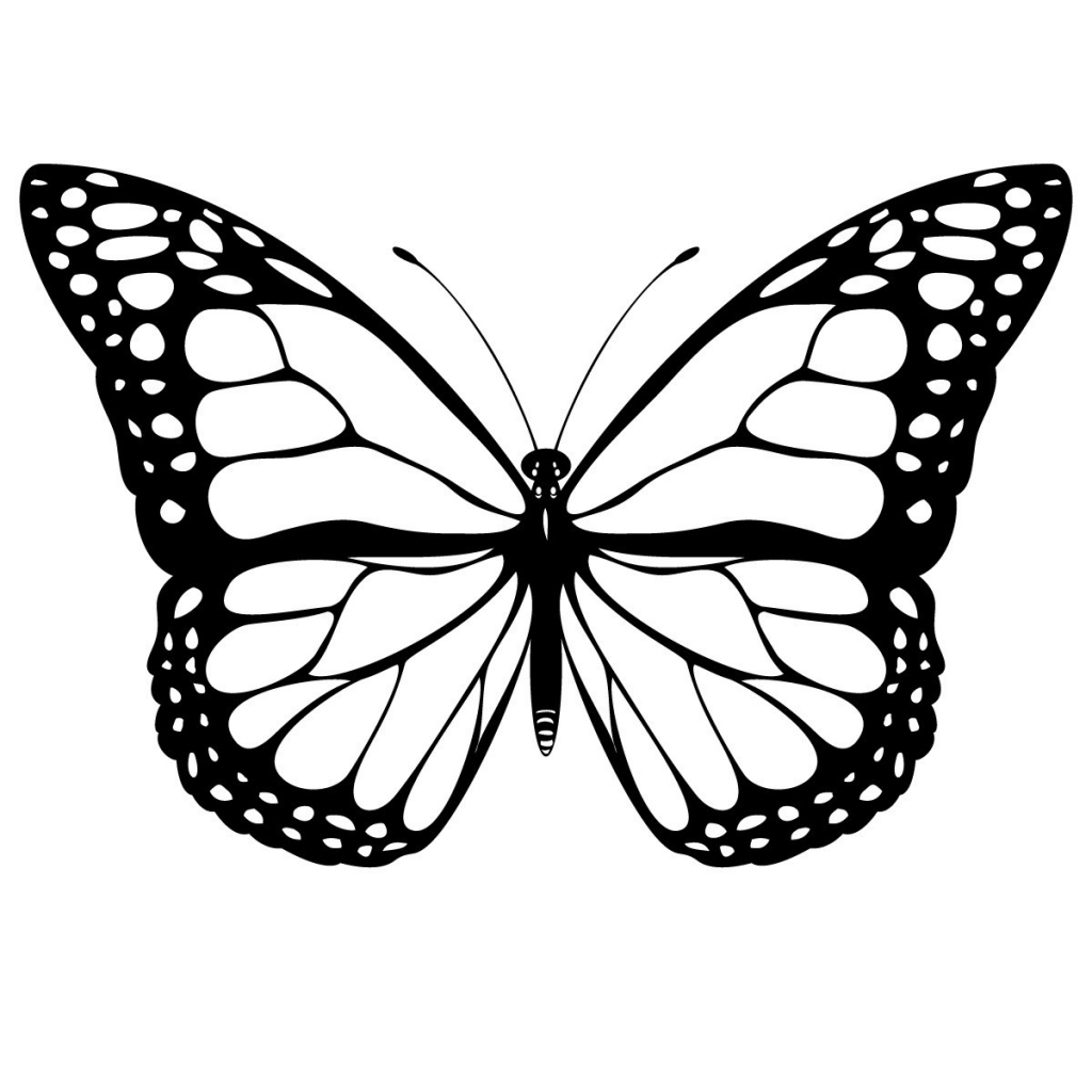 1024x1024 Drawings Of Butterflies Cool Drawings Of Butterflies 3 Decoration