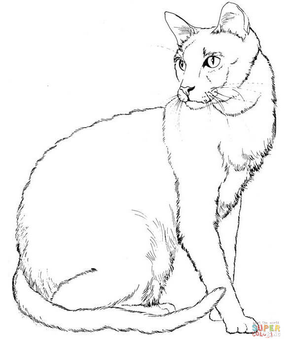 590x706 Exciting Coloring Pages Of Cats 80 For Your Free Coloring Book