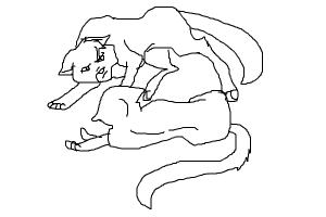 300x200 Warrior Cats Fight (Feathertail's Death