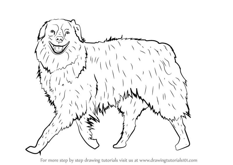 800x567 Drawing Dogs. Free Best Dog Drawing Simple Ideas On How