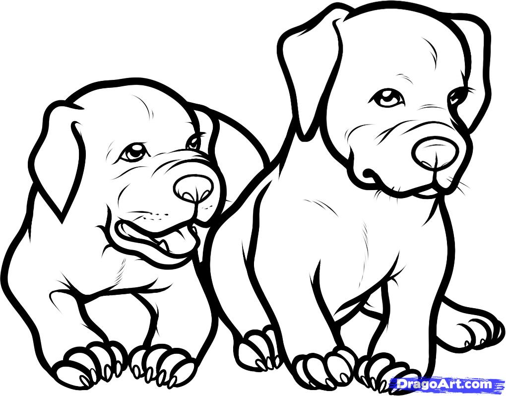1020x798 Attractive Ideas Coloring Pages Drawings How To Draw Dogs Dogs
