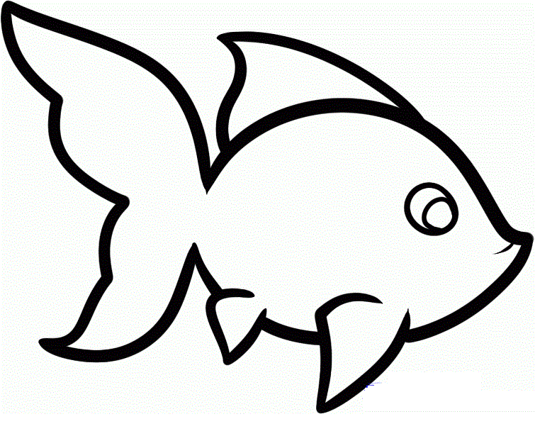 786x615 Beautiful Hd Wallpapers 4 U Free Download Cute Best Fish Drawing