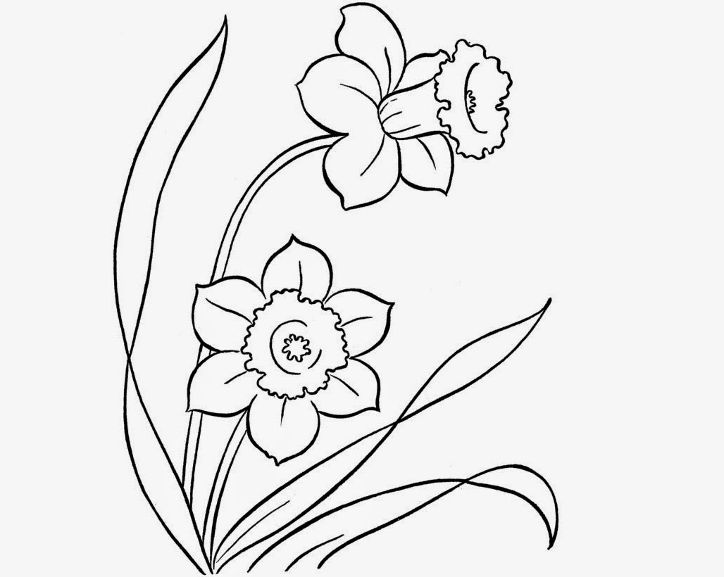 1028x820 Beautiful Flowers Drawings For Kids