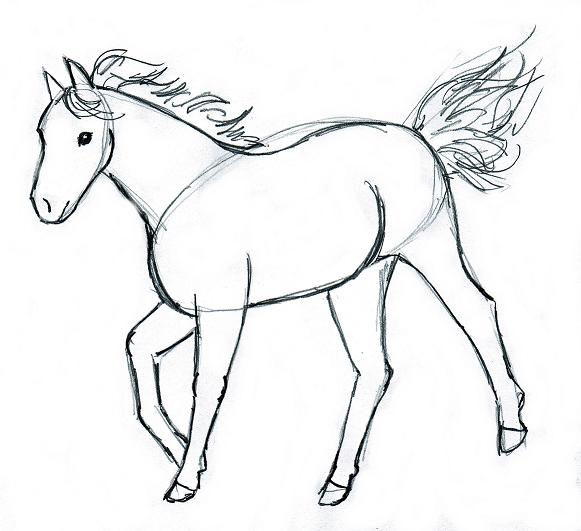 581x531 Horse Drawing Step By Step