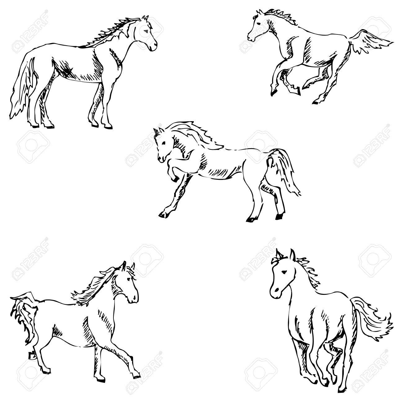 1300x1300 Horses. A Sketch By Hand. Pencil Drawing. Vector Image Royalty