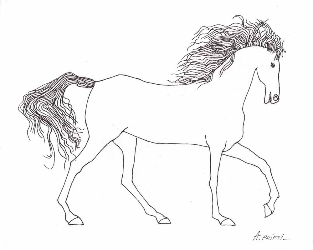 1000x800 Original Horse Line Drawing 8x10 Black Ink Drawing Black Line